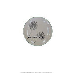 Traditional Plates