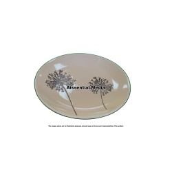 Traditional Plates